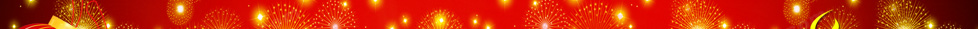 2011¥´Ű